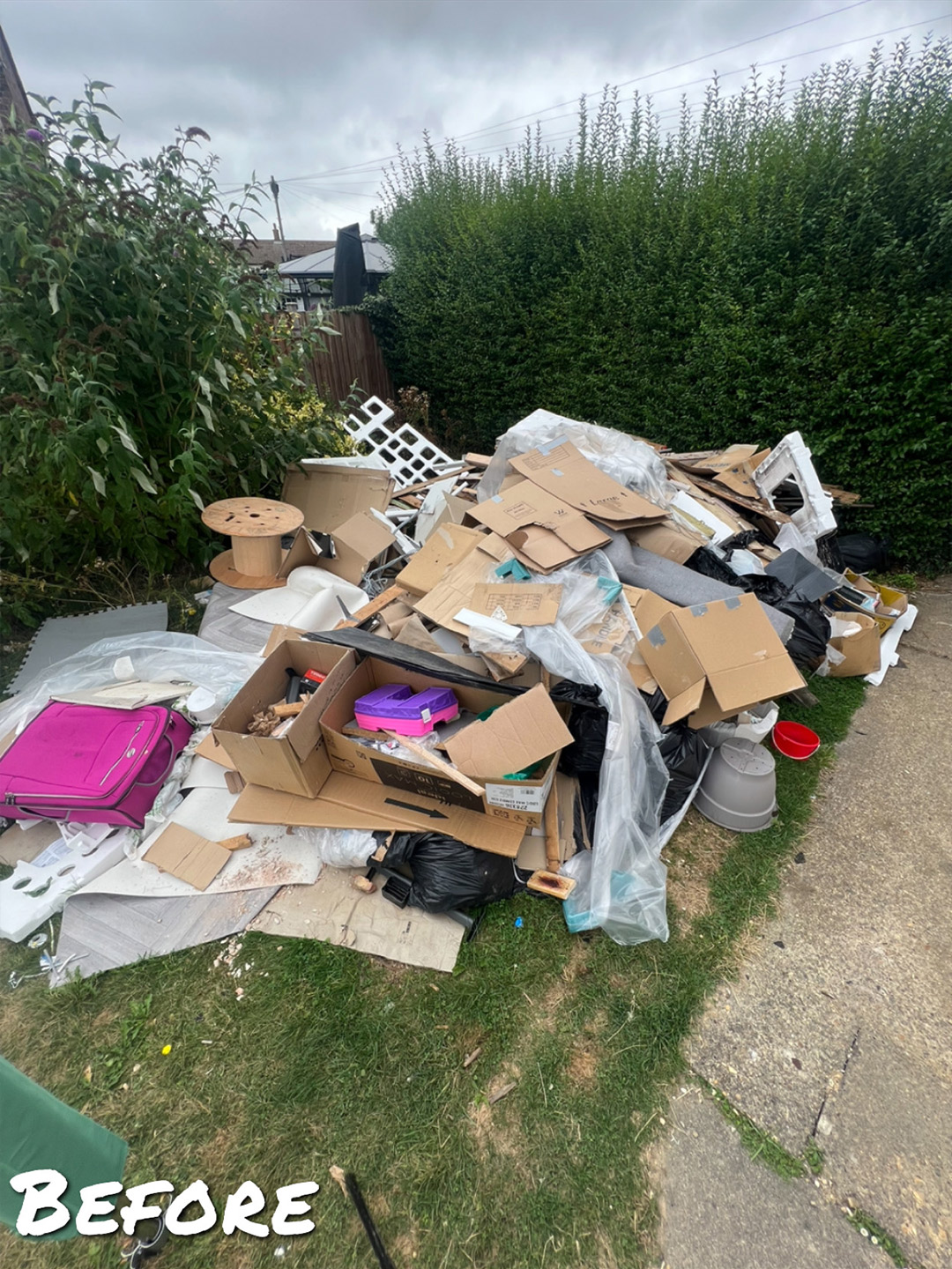 waste removal before photo 1