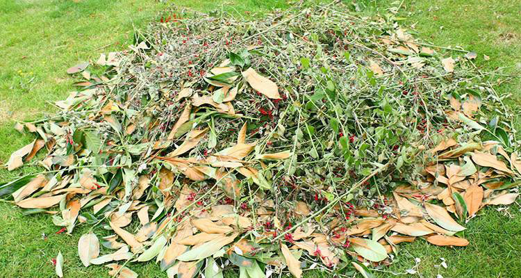 green waste